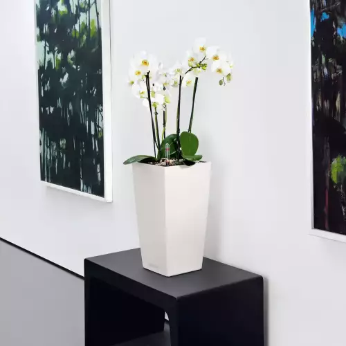 Kwiaty w białej donicy Cubico Color 22/22/41